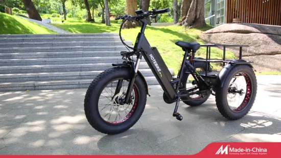 최고의 전기 자전거 전자 자전거 전기 먼지 자전거 500W 250W 350W 500W 후면 허브 모터 먼지 자전거 세 바퀴 전기 세발 자전거