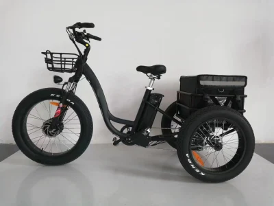 공장에서는 500W 삼륜 전기 자전거, 뚱뚱한 타이어를 사용하는 성인용 Shimano 7단 전기 삼륜차를 공급합니다.
